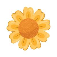 cute yellow sunflower vector
