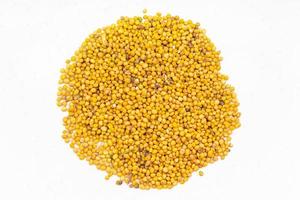 pila de semillas amarillas de mostaza de cerca en gris foto