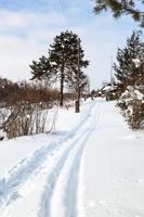 path and ski run along little russian village photo