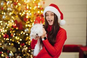 Girl holding a small dog in her arms on new year's eve photo