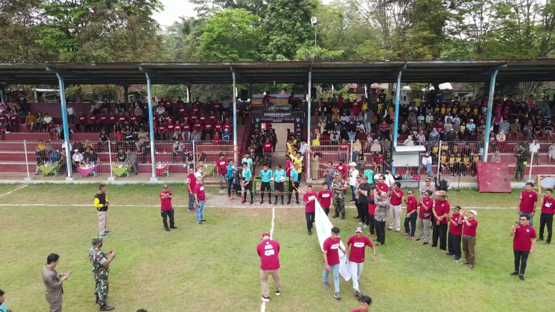 Green Fields Stock Video Footage for