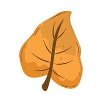 follaje de la planta de hoja de otoño vector