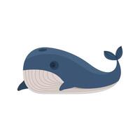 bowhead whale animal vector