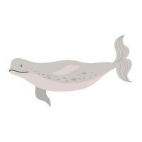 beluga whale animal vector