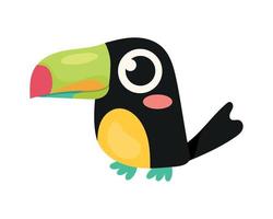 toucan bird animal vector