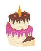 birthday cake with candle vector