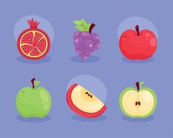 six fresh fruits icons vector