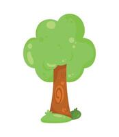 tree forest plant vector