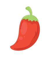 red chili pepper fresh vegetable vector