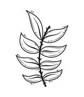 branch minimalist style tattoo vector