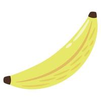 plátano fresco fruta saludable vector