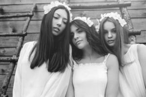 Three charming girls on a ladder near a wooden house photo