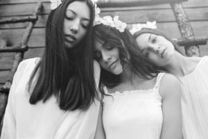 Three charming girls on a ladder near a wooden house photo