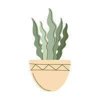 houseplant in white pot vector