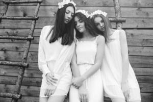 Three charming girls on a ladder near a wooden house photo