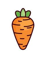 carrot fresh vegetable vector