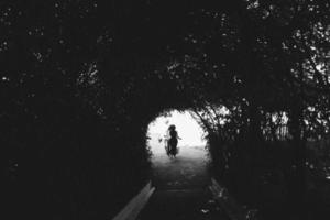 couple walking through the tunnel of trees photo