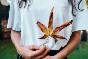 Woman hold nice yellow leaf in hand. photo