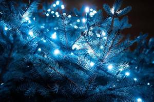 Christmas tree with cones on a city street illuminated with a garland. photo