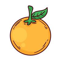 orange fresh fruit healthy vector