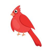 red bird animal vector