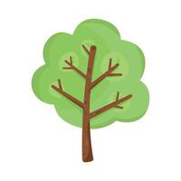 tree plant nature vector