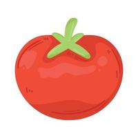 red tomato fresh vegetable vector