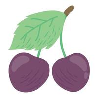 fresh grapes and leafs vector