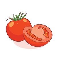 Red tomato organic vegetable hand drawn illustration vector