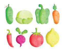 Set of watercolor fruits and vegetables vector