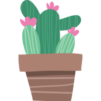 cactus dessin animé icône clipart png