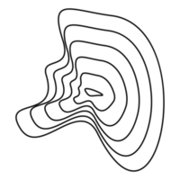 formas orgánicas con líneas de ondas dinámicas png