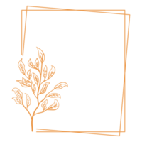 moldura floral minimalista png