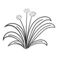 arte de linha desenhada à mão floral, galho, grama e folha png