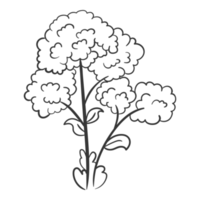 ritad för hand linje konst blommig, kvist, gräs och blad png