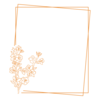 cadre floral minimaliste png