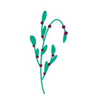 clipart de vigne et de baies png