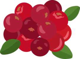 Symbol für frische Preiselbeeren png