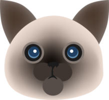 faccia di gatto carino png