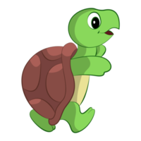 diseño de dibujos animados de tortuga sobre fondo transparente png