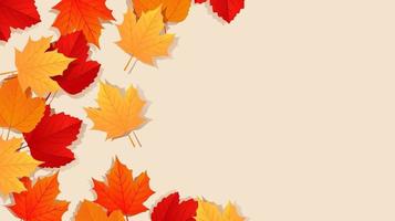 Autumn fall background with golden, red and orange maple leaves isolated on the background with space for text. Vector illustration