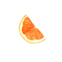 Watercolor slice of orange citrus png