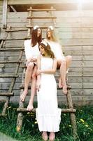 Three charming girls on a ladder near a wooden house photo