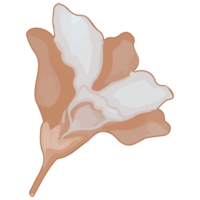 Watercolor Dried Flower, Brown flora clipart png