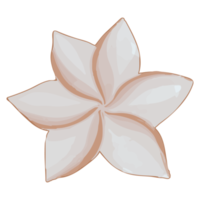 vattenfärg torkades blomma, brun flora ClipArt png