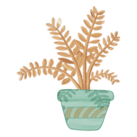 Watercolor Dried Flower in Pot, Brown flora clipart png