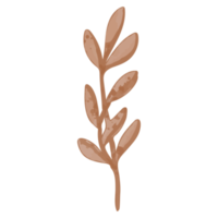 Watercolor Dried Leaf, Branches clipart png