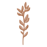 feuille séchée à l'aquarelle, clipart de branches png