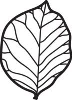 simplicity leaf freehand continuous line drawing flat design. png