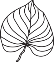 simplicity leaf freehand continuous line drawing flat design. png